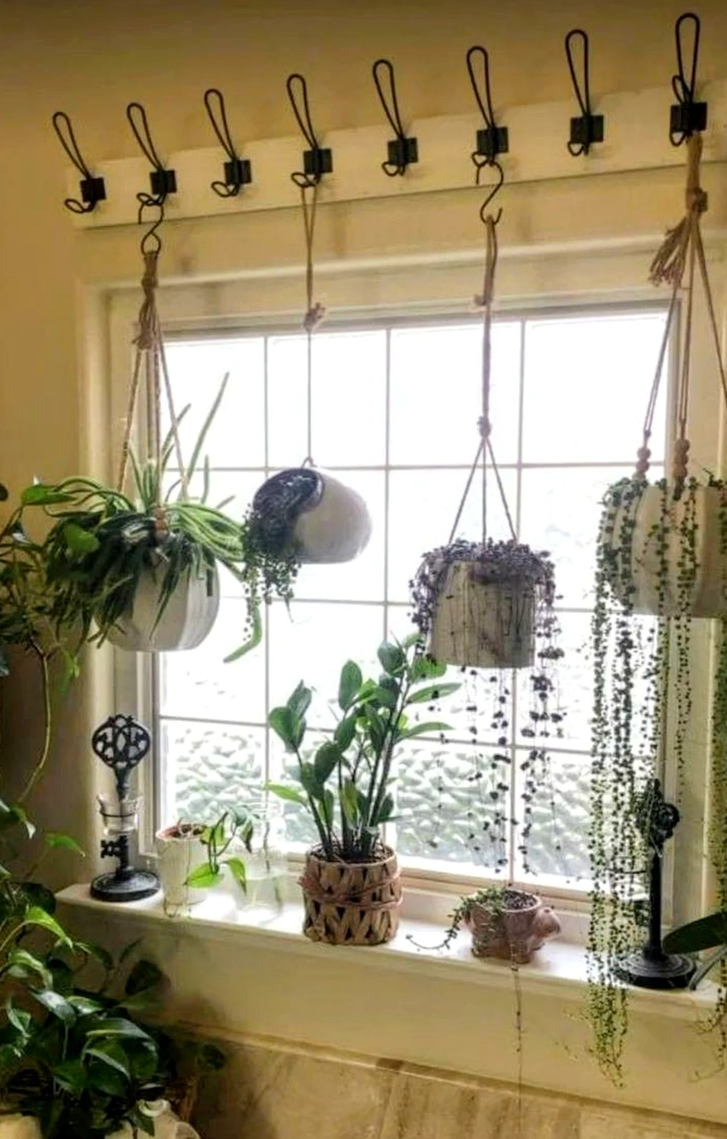 Fresh green entry brings a useful note of comfort, making the view feel easy to enjoy.