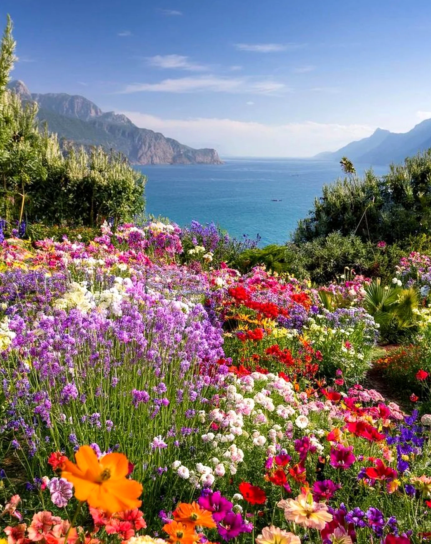 Natural colorful passage supports the view through character, leaving the space feeling pleasantly composed.