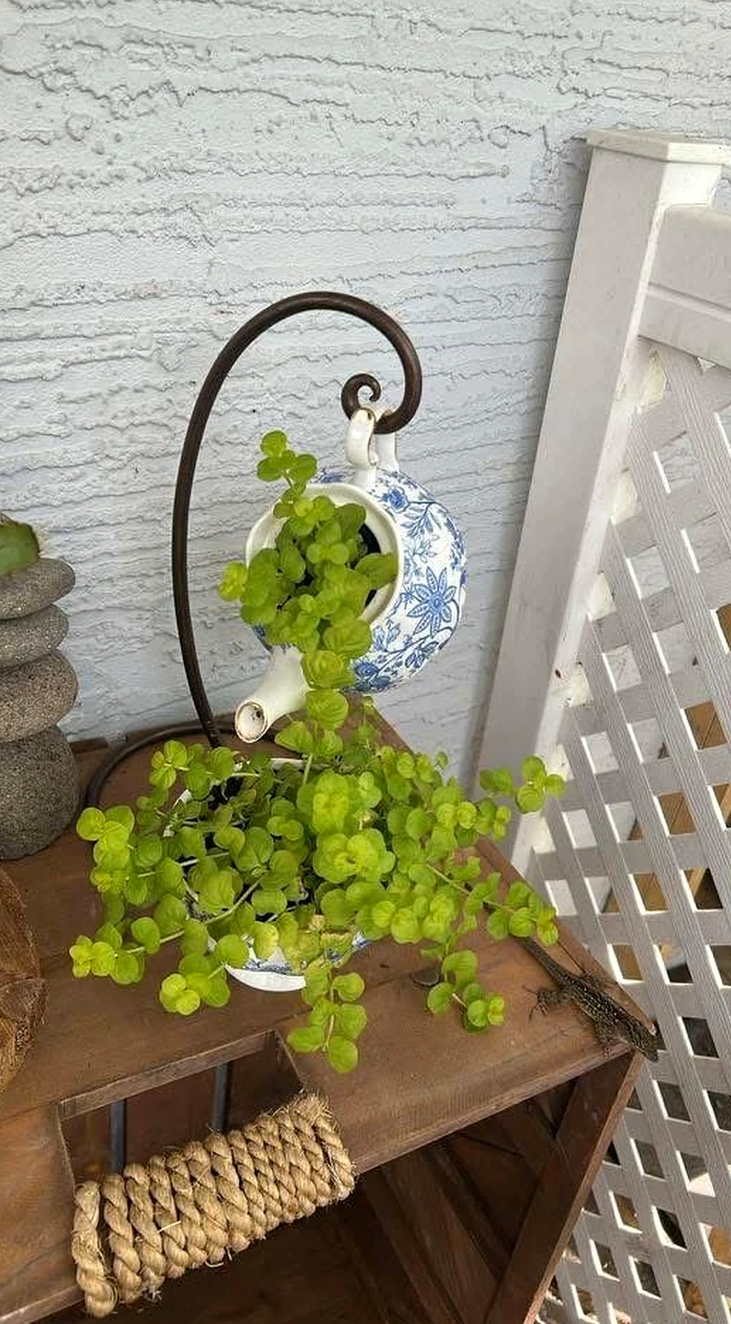 Layered outdoor lounge draws attention to detail while the setting stays bright but not busy.