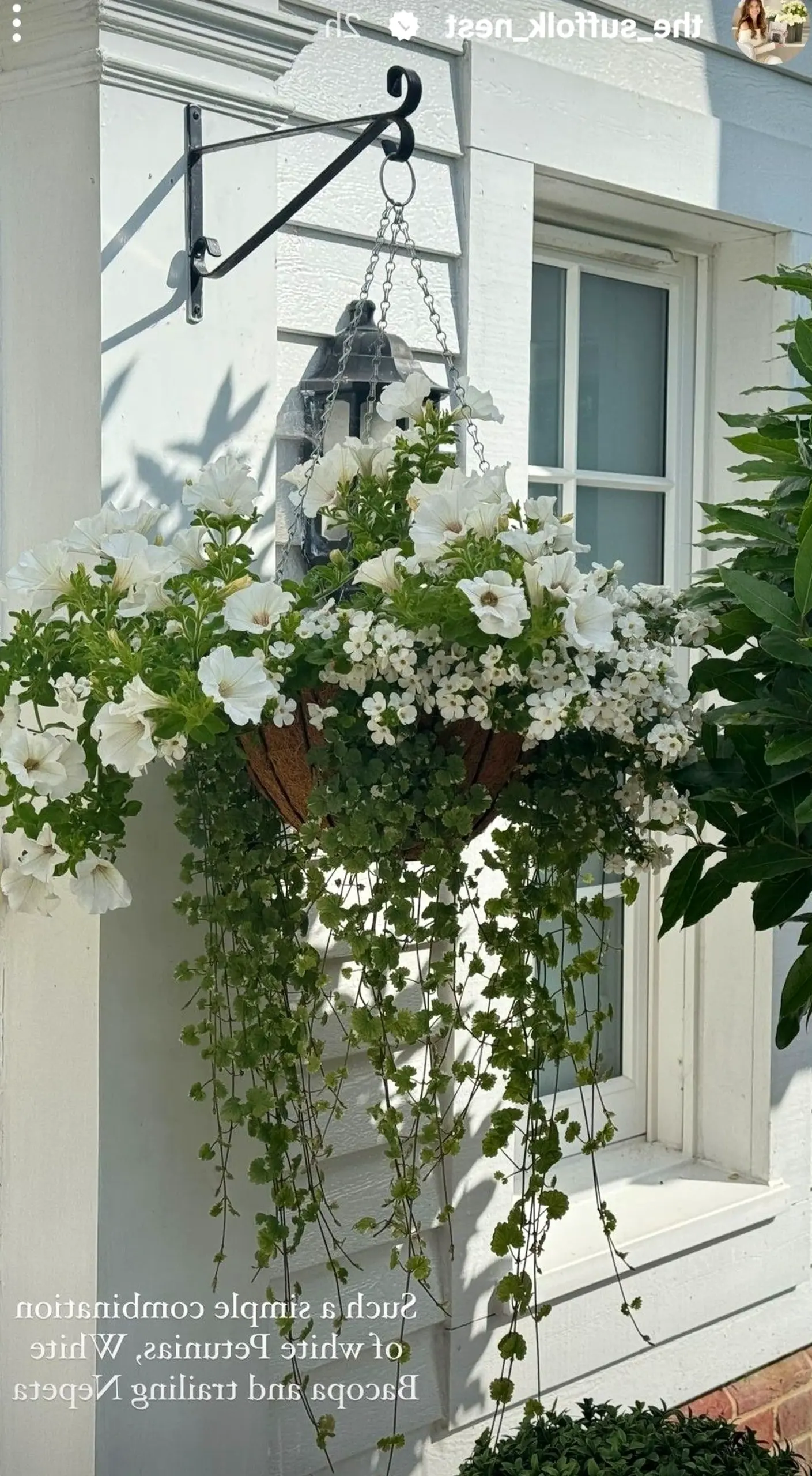 Airy floral bed draws attention to softness while the setting stays quietly finished.