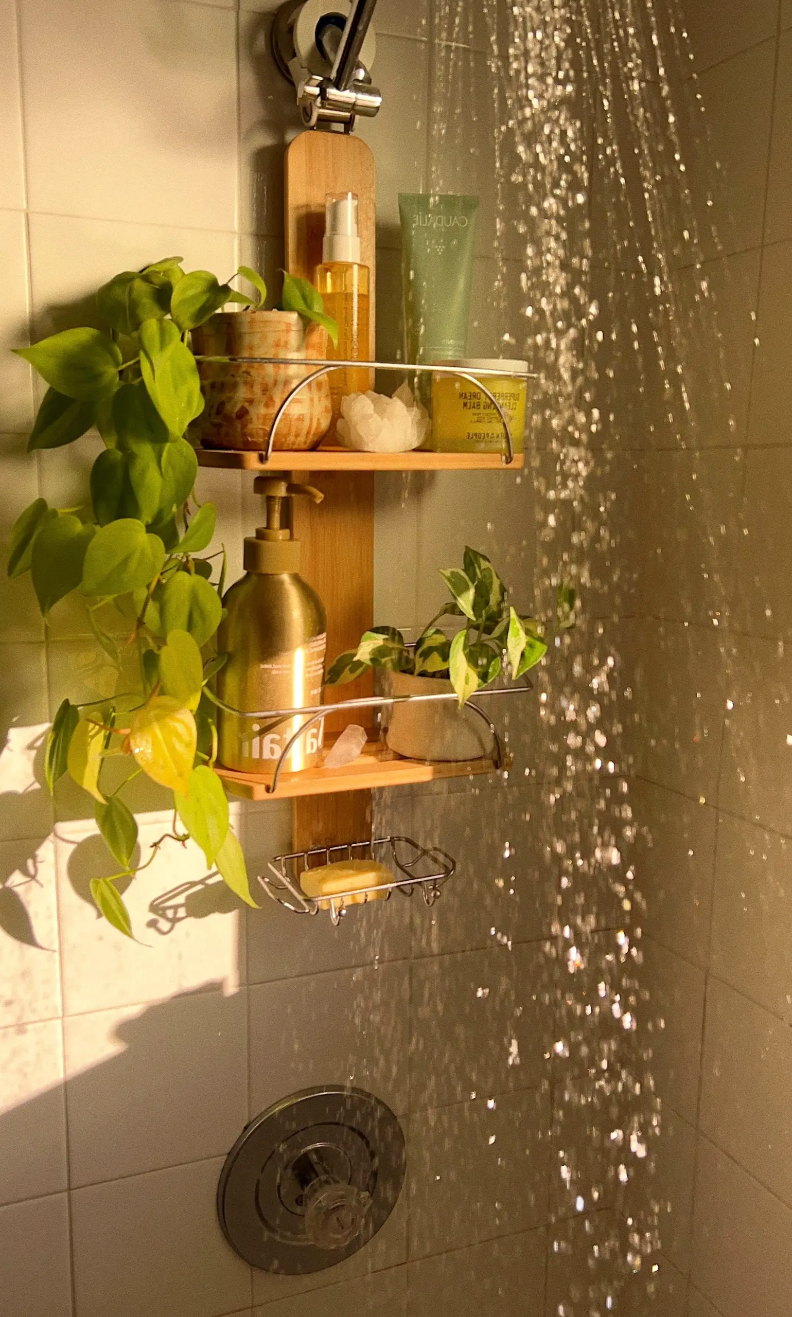 Calm sunlit room frames the design with clarity, making the scene feel settled and welcoming.